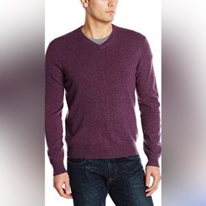 NWT Williams Men's Purple Magenta 100% Cashmere Sweater